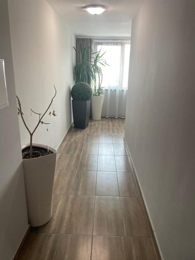 Teddy Apartment 大特尔诺沃 外观 照片